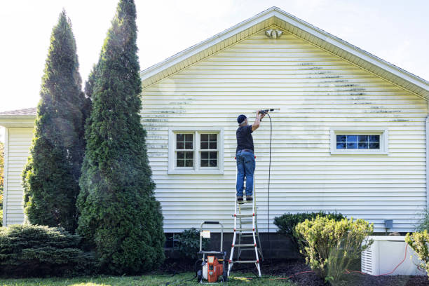 Best Vinyl Siding Pressure Washing in Philipsburg, MT